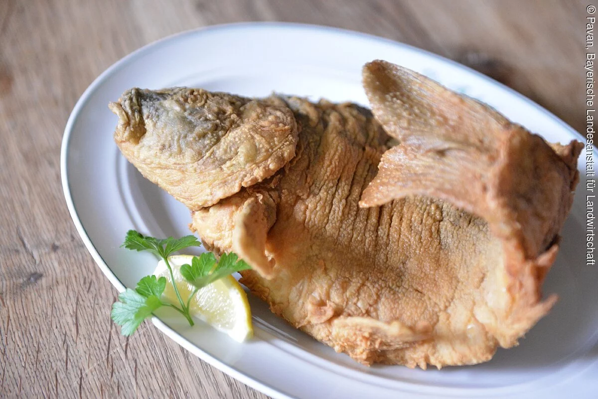 Gebackener Karpfen aus dem Aischgrund Gebackener Karpfen aus dem Aischgrund