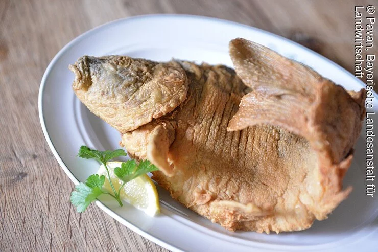 Gebackener Karpfen aus dem Aischgrund Gebackener Karpfen aus dem Aischgrund